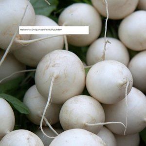 Shogoin Turnip Seeds - Vegetable Seeds - BOGO